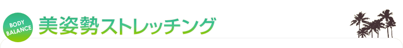 美姿勢ストレッチング